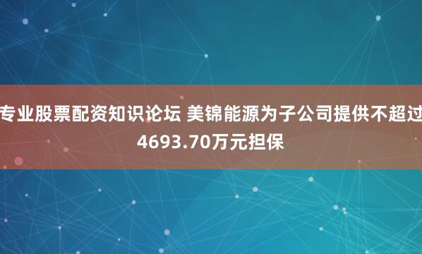 专业股票配资知识论坛 美锦能源为子公司提供不超过4693.70万元担保