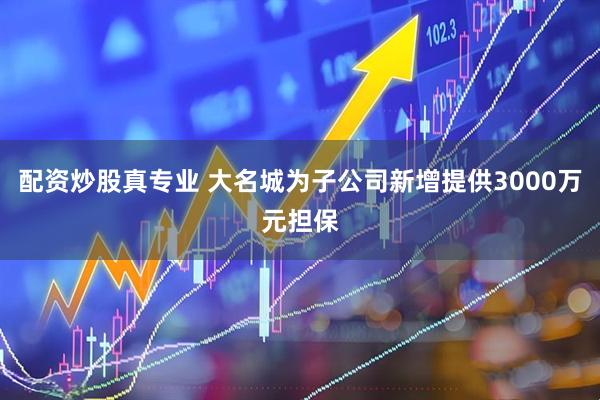 配资炒股真专业 大名城为子公司新增提供3000万元担保